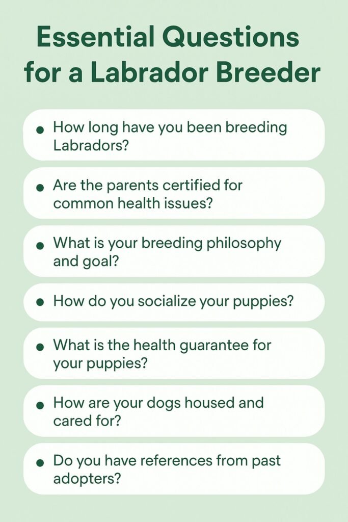 Labrador Breeders in California